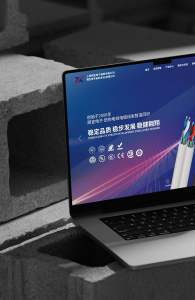 高品质网站建设